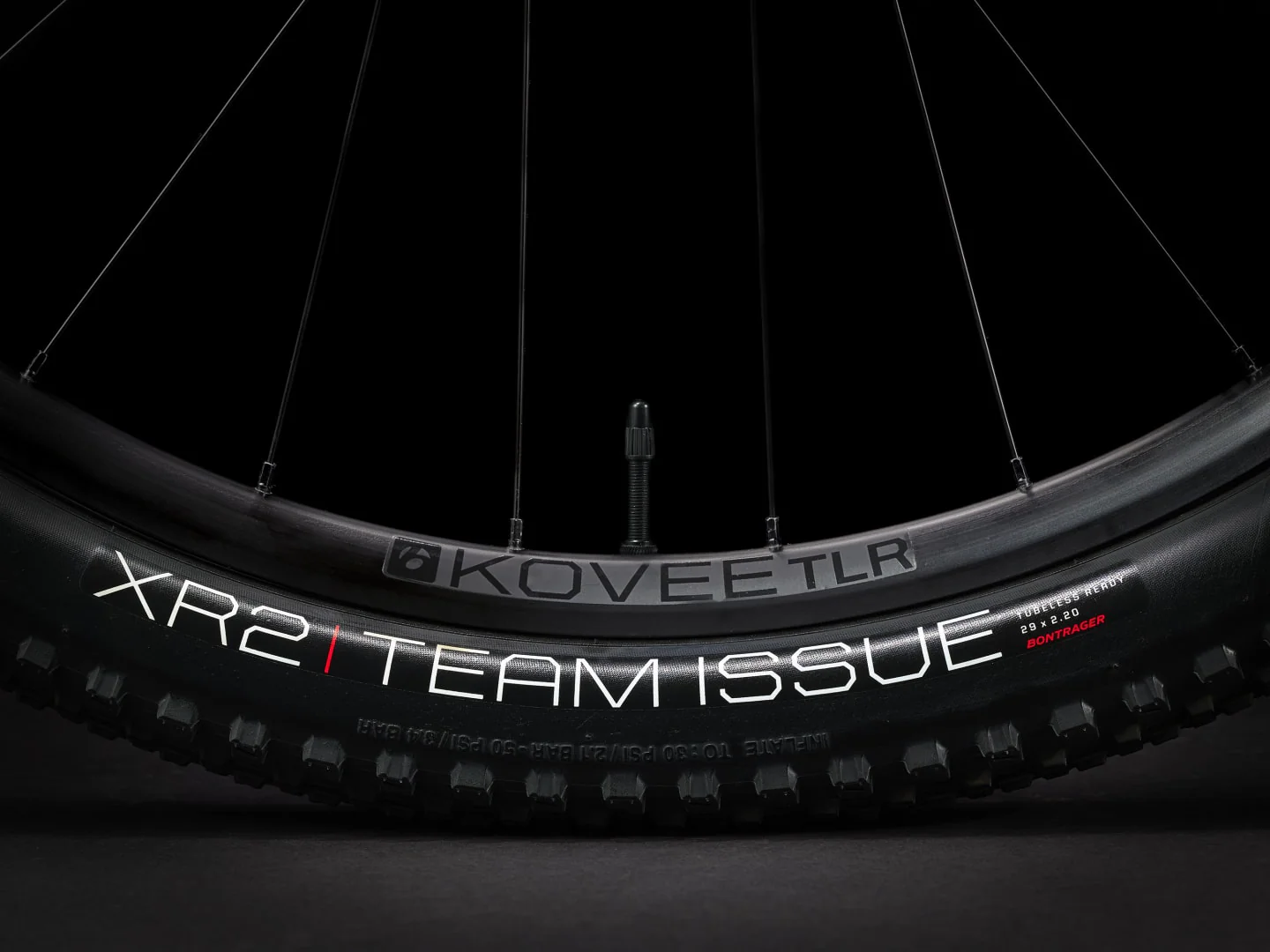 2024 Trek Procaliber 9.5 - Mercury - Image 7