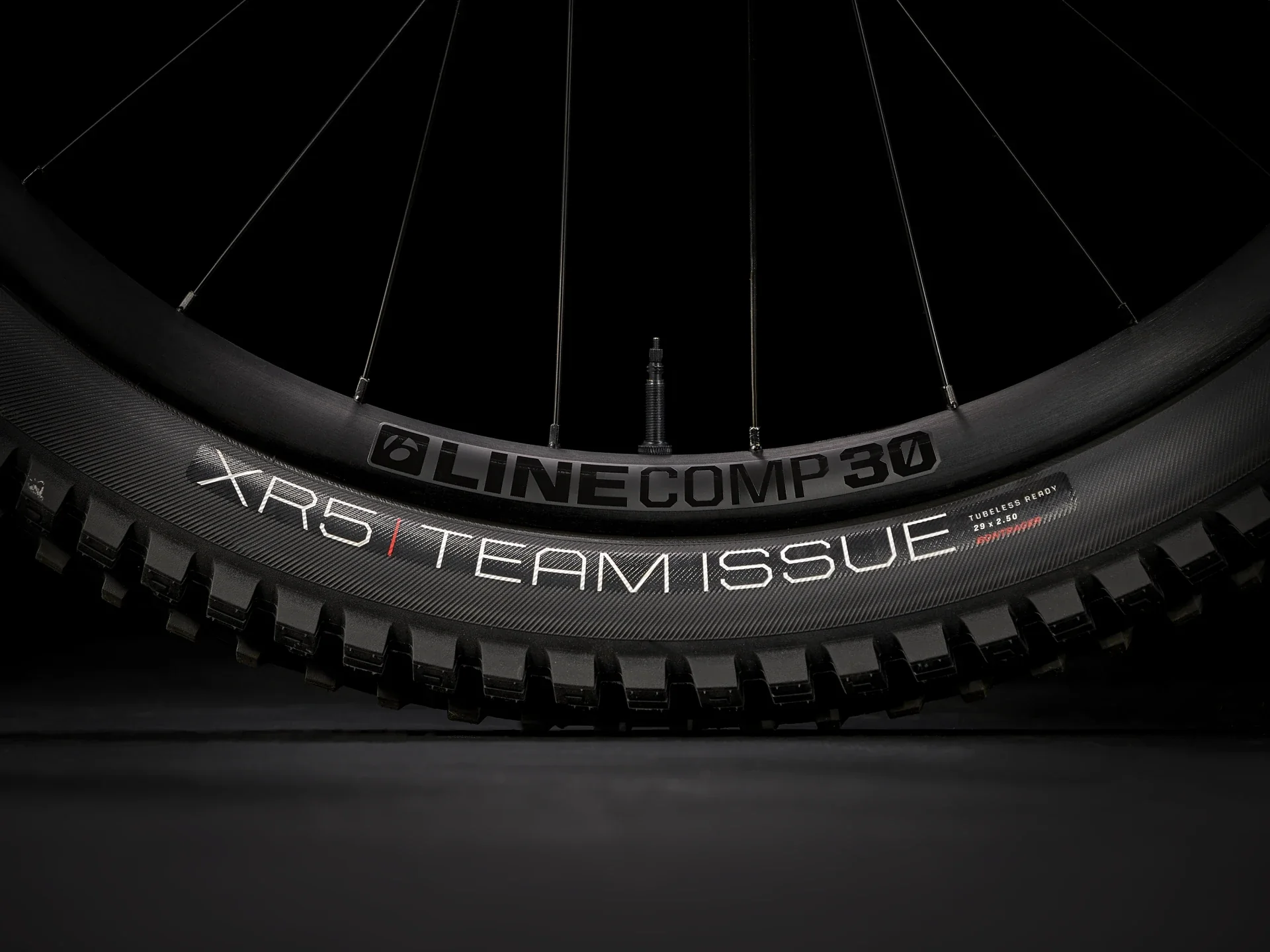 2025 Trek Fuel EX 8 XT Gen 6 - Image 10